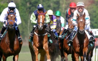 Controlling Doping in Racehorses and Protecting Animal Welfare with Analytical Science and Technologies